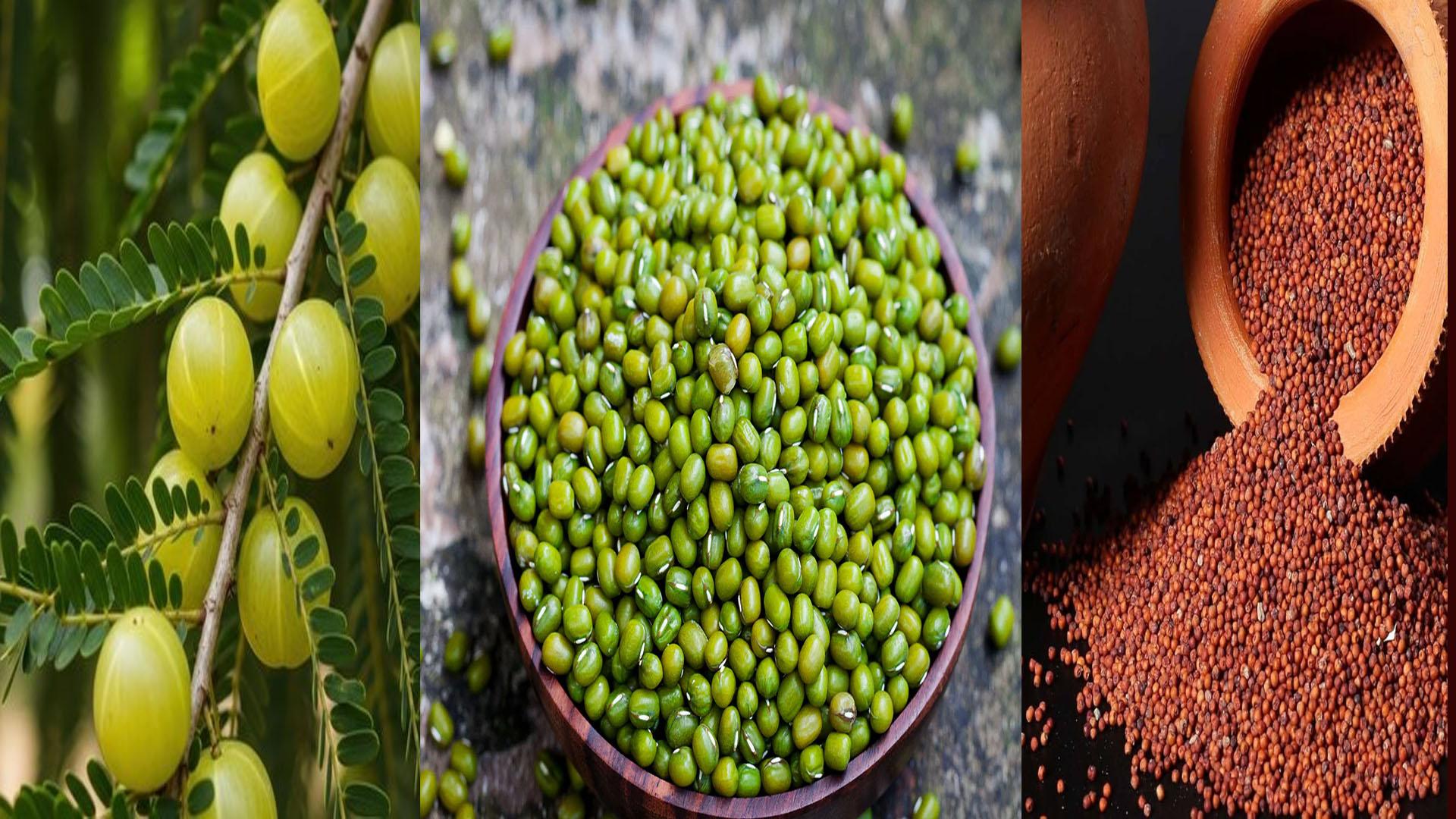 పేగుల్లో మంచి బ్యాక్టీరియాకు బలం ఇచ్చే 8 భారతీయ ఆహారాలు ఇవే..