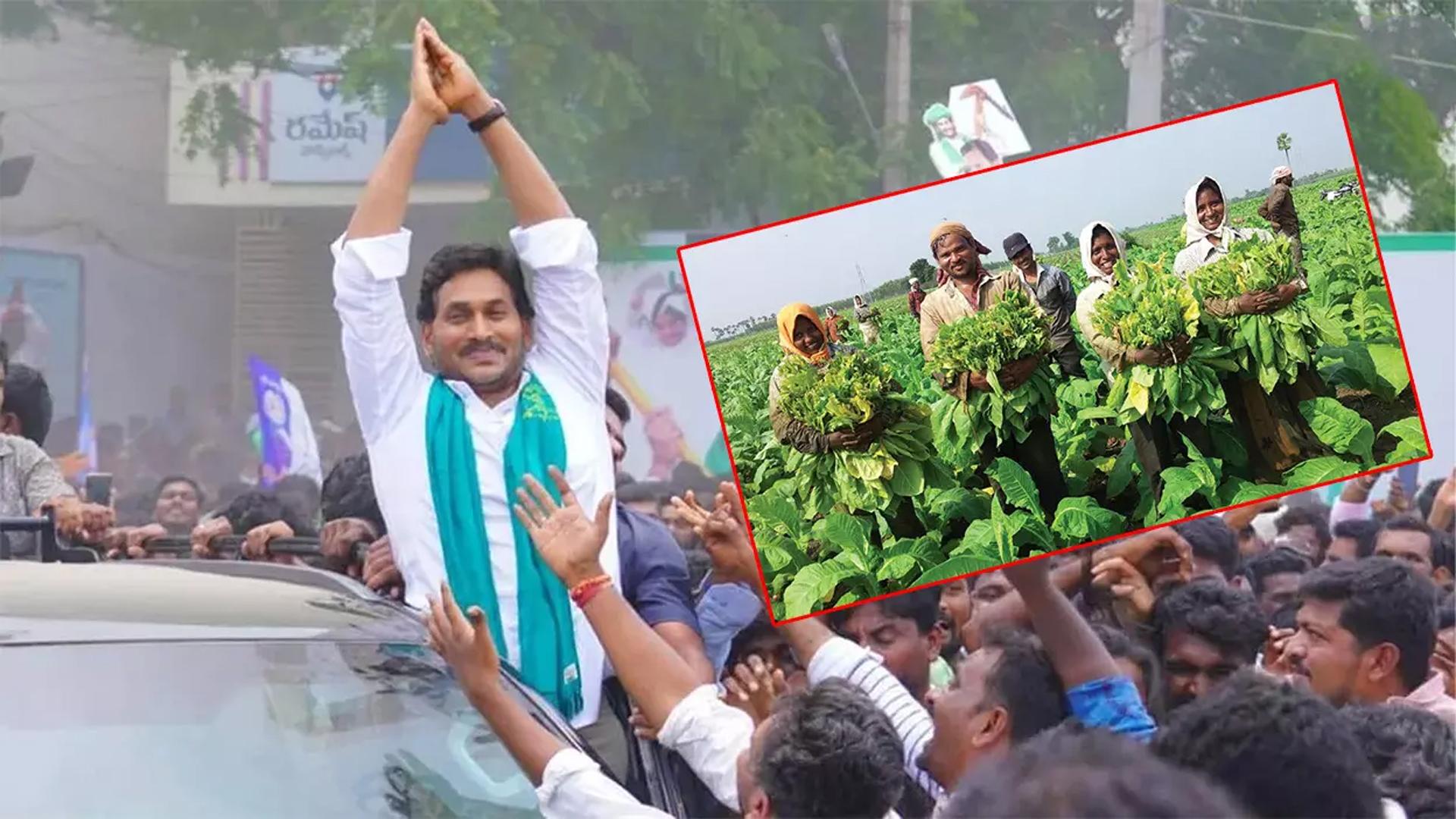 దేవరపల్లిలో పొగాకు రైతులను కలిసిన వైఎస్ జగన్..